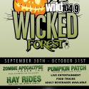WiLD’s Wicked Forest!